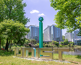 일반발전기금 (비전기금)